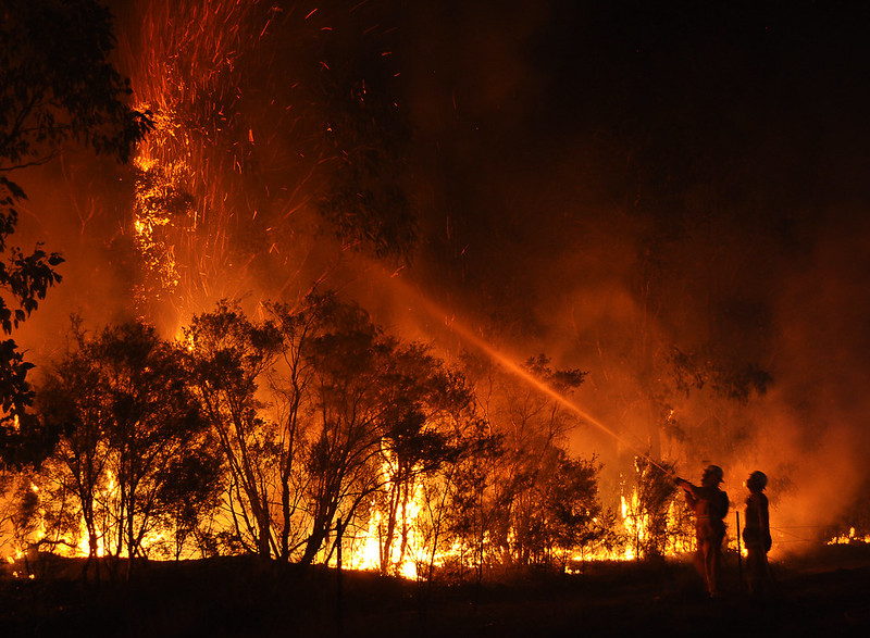 Image: Wildfires in Wales, UK